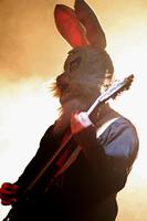 Photo by Melissa Aalto